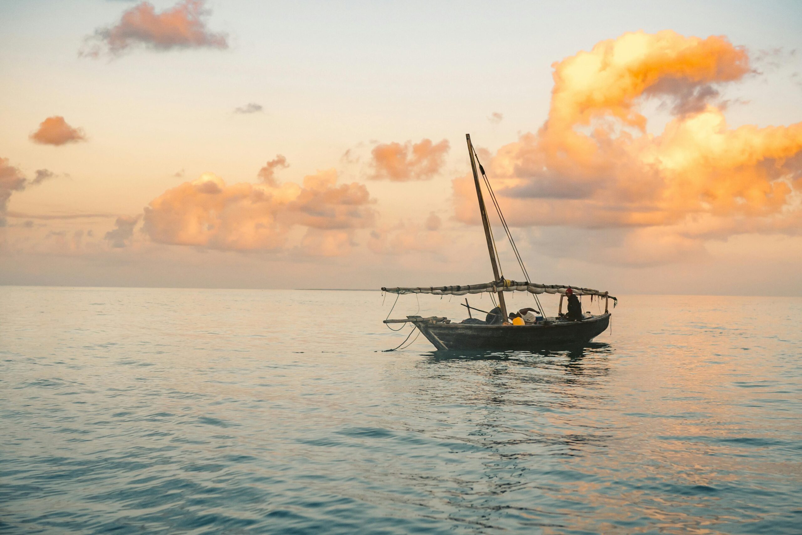 Pexels Photo 6405699 6405699 Scaled